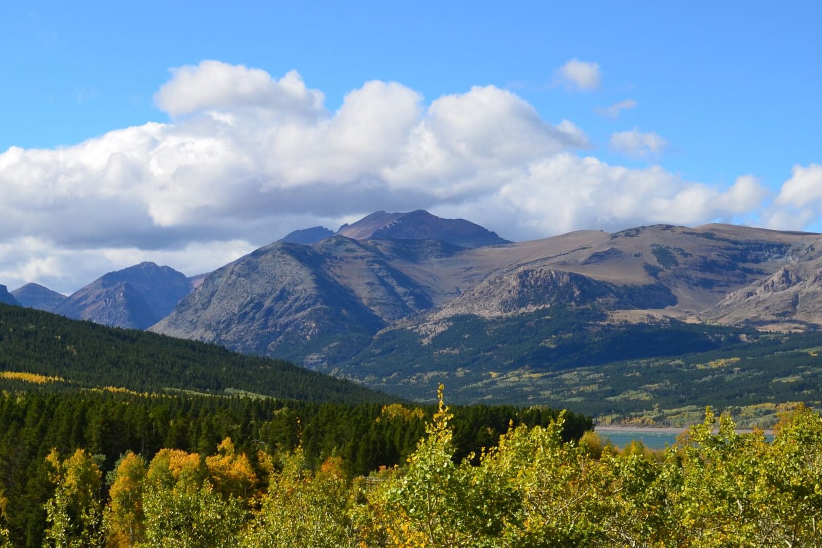 Wildfire mitigation & land clearing serving Boulder, MT