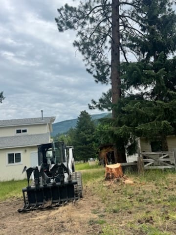 Defensible space cleared around a home