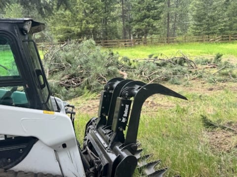 Skid-steer grapple clearing overgrowth